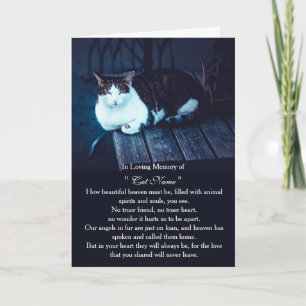 Personalisierte Katzen-Trostkarte mit Foto - Haust Karte