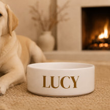 Personalisierte Keramik Pet Bowl - Benutzerdefinie