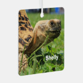 Personalisierte Leopard-Tortoise im Gras Ornament Aus Metall (Vorderseite Rechts)