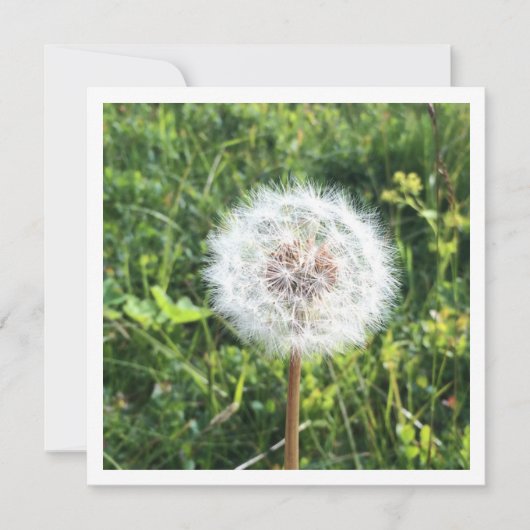 Personalisierte Leuchterkarte Feiertagskarte (Vorderseite)