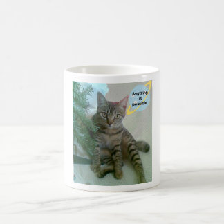 Personalisierte lustige Katzen-Tassen Kaffeetasse