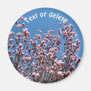 Personalisierte Magnolienblüten Blaue Himmel Magnet