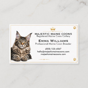 Personalisierte Maine Coon Katzenzucht Visitenkart Visitenkarte