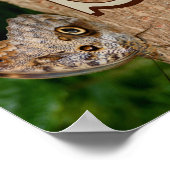Personalisierte Monogramm-Initialen-Name Schmetter Poster (Ecke)