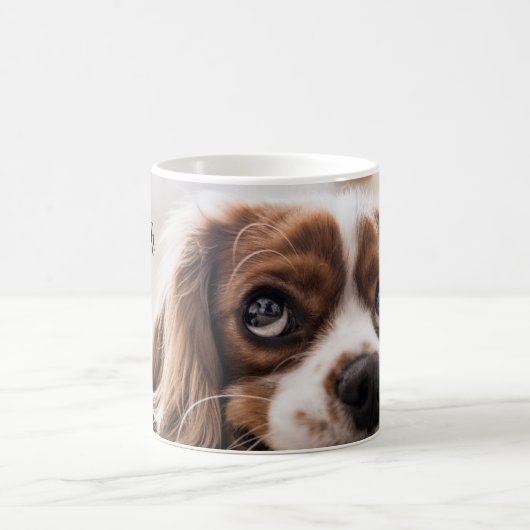 Personalisierte Morphing-Tasse für Haustiere - Tas Verwandlungstasse (Mittel)