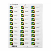Personalisierte Niedliche Amazon-Parrot-Artwork (Vorne)