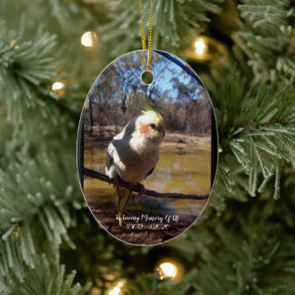 Personalisierte Niedliche Cockatiel-Weihnachtsfeie Keramik Ornament