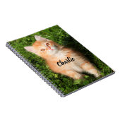 Personalisierte Niedliche Fluffy Orange Tabby Cat  Notizblock (Rechte Seite)