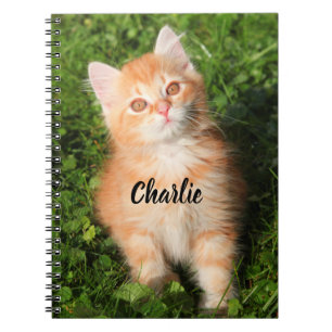 Personalisierte Niedliche Fluffy Orange Tabby Cat  Notizblock