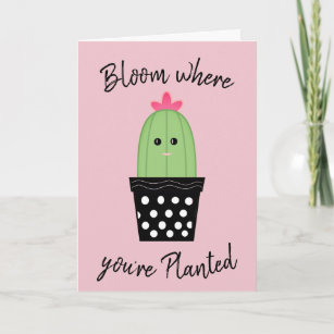 Kaktus Karten Zazzle.de