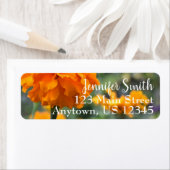 Personalisierte Orange Marigold Nature Blume (Insitu)