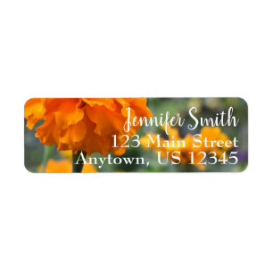 Personalisierte Orange Marigold Nature Blume