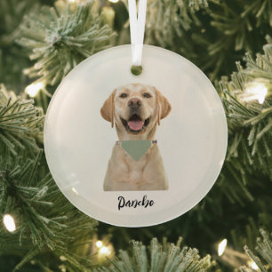 PERSONALISIERTE PET-ORNATION ORNAMENT AUS GLAS