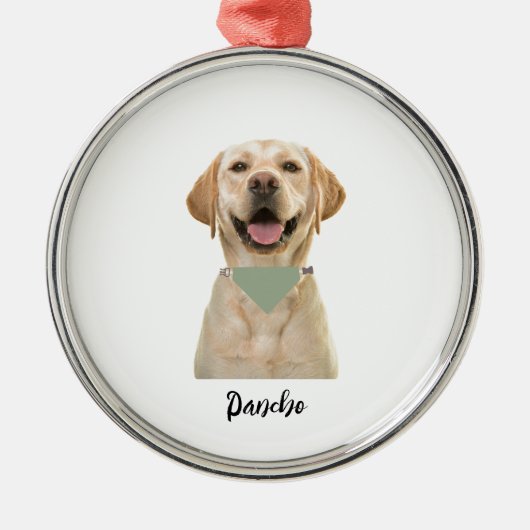 PERSONALISIERTE PET-ORNATION ORNAMENT AUS METALL (Vorne)