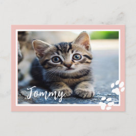 Personalisierte Pet-Postkarte mit benutzerdefinier Postkarte