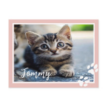 Personalisierte Pet-Postkarte mit benutzerdefinier