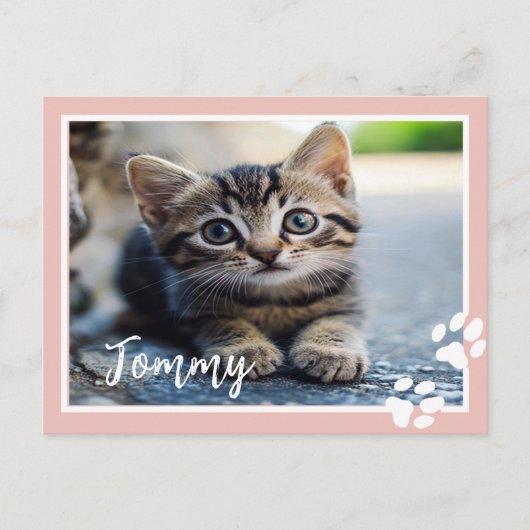 Personalisierte Pet-Postkarte mit benutzerdefinier Postkarte (Vorderseite)