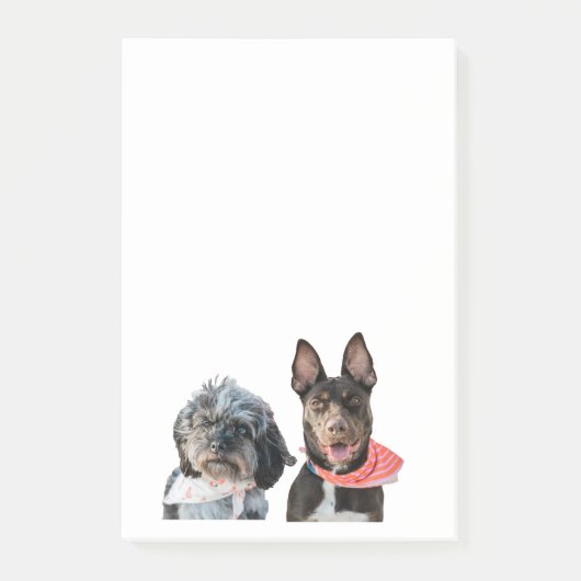 PERSONALISIERTE POST-IT-Hinweise für FOTO Post-it Klebezettel (Vorderseite)