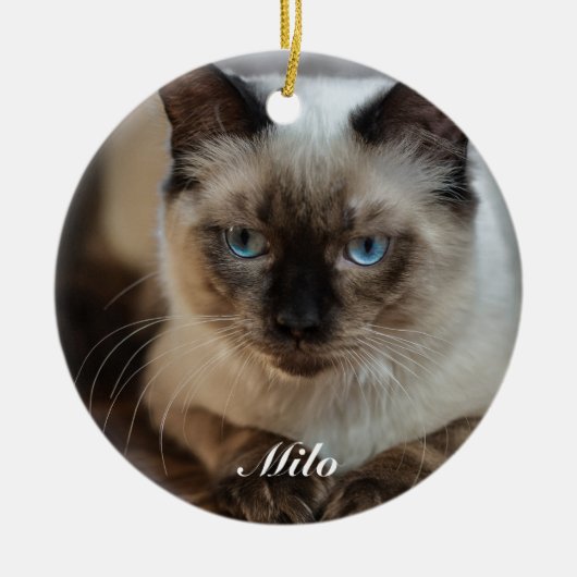 Personalisierte Ragdoll Katze Foto und Name Keramik Ornament (Vorne)