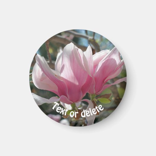 Personalisierte rosa Magnolienblüte Magnet (Vorne)