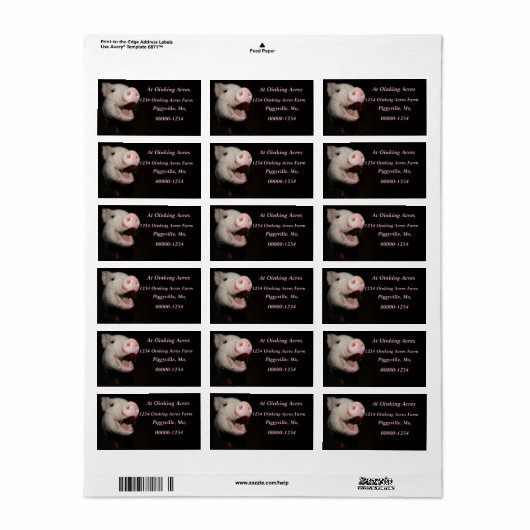 Personalisierte Rosa Mini-Schweineadressen Adressaufkleber (Vorne)