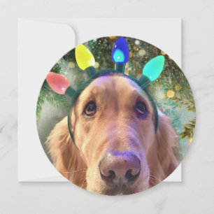 Personalisierte Round Golden Retriever Card Feiertagskarte