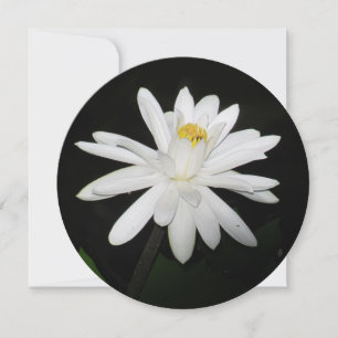Personalisierte runde White Water Lilie Blumenkart Feiertagskarte