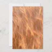 Personalisierte Rustikale, Weizen, Einladung zur H (Rückseite)