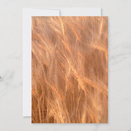 Personalisierte Rustikale, Weizen, Einladung zur H (Rückseite)