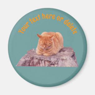 Personalisierte schlafende orange Tabby-Katze Magnet