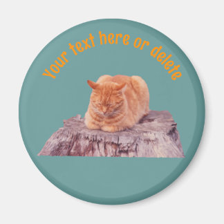 Personalisierte schlafende orange Tabby-Katze Magnet