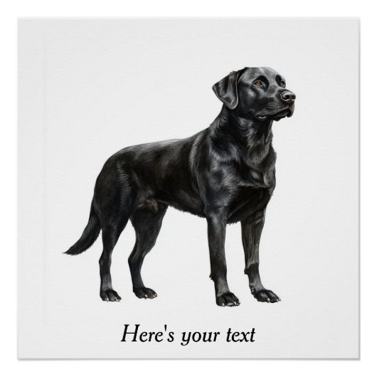 Personalisierte Schwarz-Labrador-Retriever-Dekorat Poster (Vorderseite)