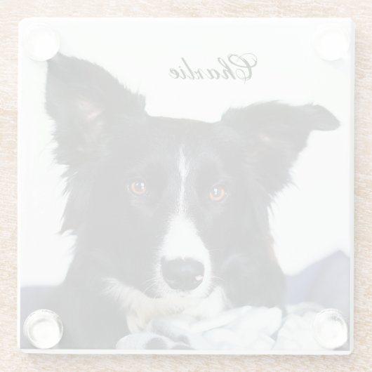 Personalisierte Schwarz-Weiß-Border-Collie Glasuntersetzer (Rückseite)