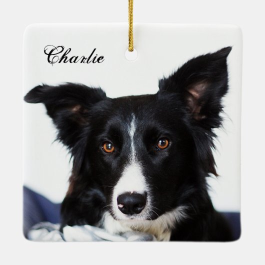 Personalisierte Schwarz-Weiß-Border-Collie Keramikornament (Rückseite)