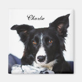Personalisierte Schwarz-Weiß-Border-Collie Magnet (Vorne)