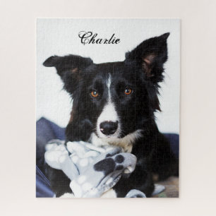 Personalisierte Schwarz-Weiß-Border-Collie Puzzle