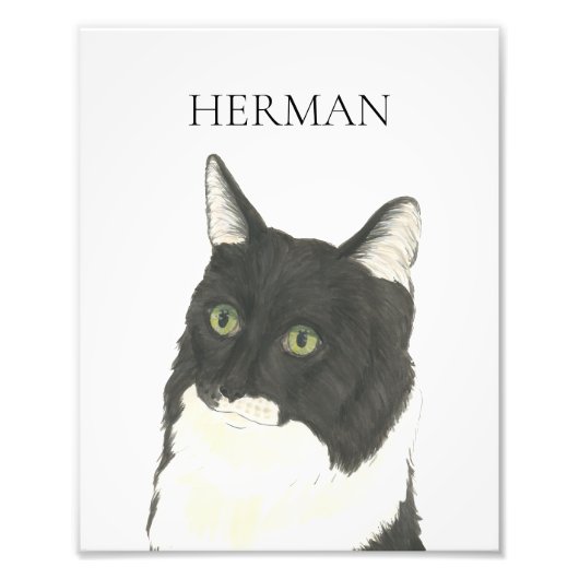 Personalisierte Schwarz-Weiß-Ragamuffin Katze Kuns Fotodruck (Vorne)