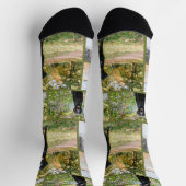 Personalisierte Spaß 5 Foto-Vorlage Socken (Oben)