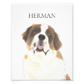 Personalisierte St. Bernard Art Fotodruck (Vorne)