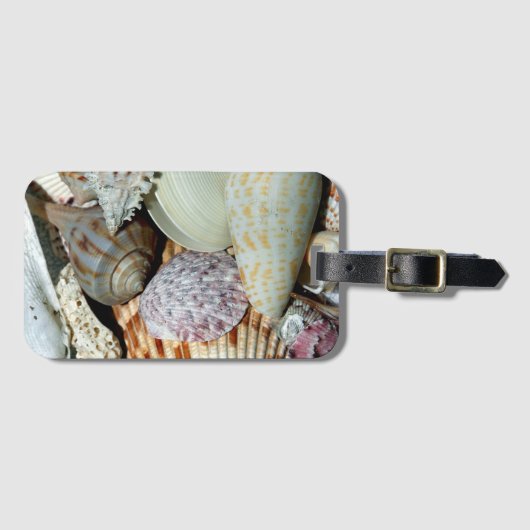 Personalisierte Strand-Muschelfoto Gepäckanhänger (Vorderseite (Horizontal))