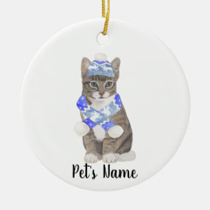 Personalisierte Tabby Cat (grau) Blue Ski Hat & Sc Keramik Ornament