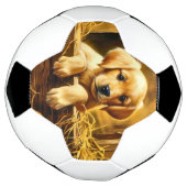 Personalisierte Trophy Soccer Ball (Gedreht)