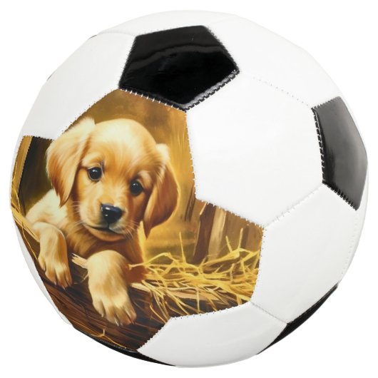 Personalisierte Trophy Soccer Ball (Dreiviertel)
