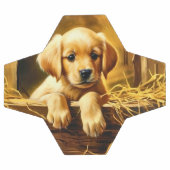 Personalisierte Trophy Soccer Ball (Flach)