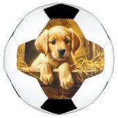 Personalisierte Trophy Soccer Ball (Vorderseite)