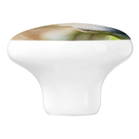 Personalisierte Tür und Schublade des benutzerdefi Keramikknauf (Seitenansicht)