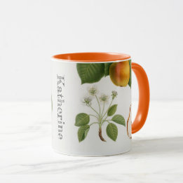 Personalisierte Vintage-Botanik-Birnenblütenfrucht Tasse