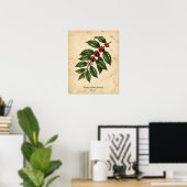 Personalisierte Vintage-Kaffeepflanze Botanik Poster (Heimbüro)