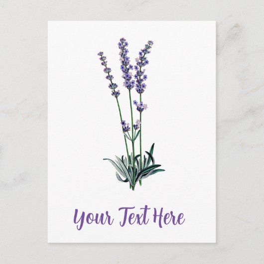 Personalisierte Vintage Lavendel-Blume Postkarte (Vorderseite)