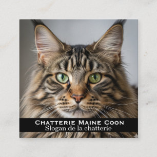 Personalisierte Visitenkarte Maine Coon Zucht